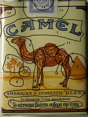 CAMEL large symbol