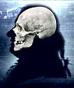 Bach's skull