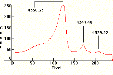 Hg 19 self-absorption distribution